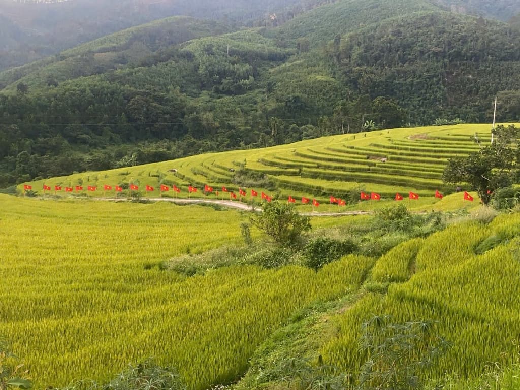 Điểm Checkin Ngàn Vàng